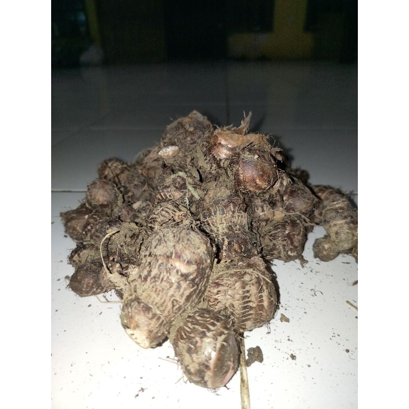 Ubi Talas 1kg Asli Panen Petani