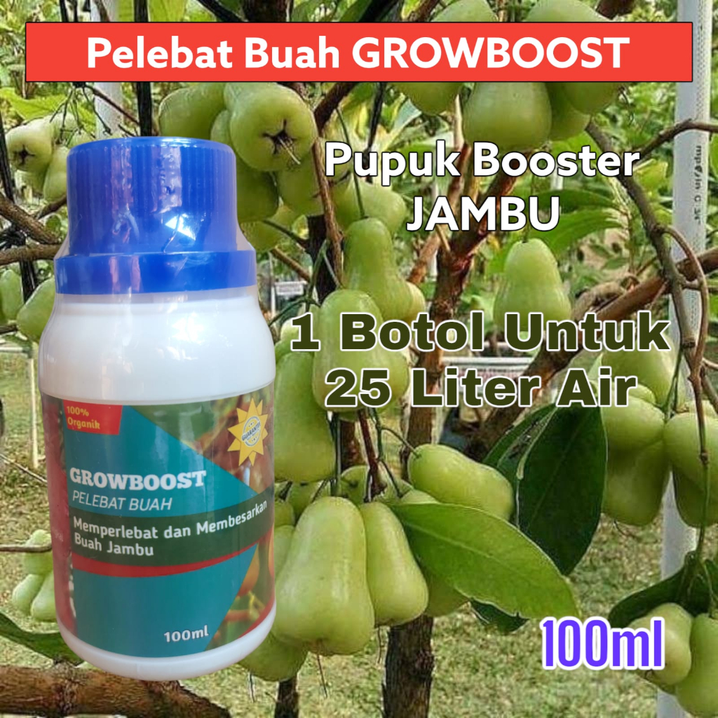 Pupuk Buah Jambu Premium Organik GrowBoost Buah Jambu 100ml