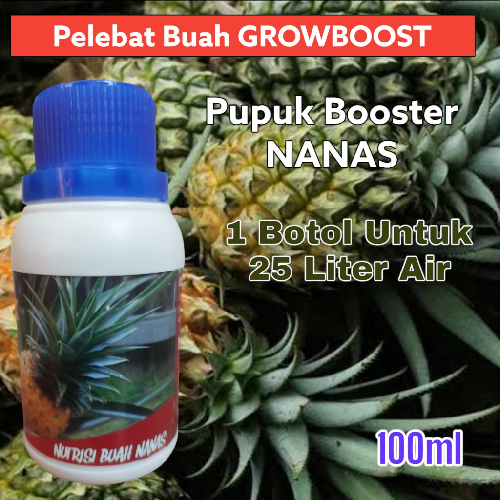 Pupuk Buah Nanas Premium Organik GrowBoost Buah Nanas 100ml