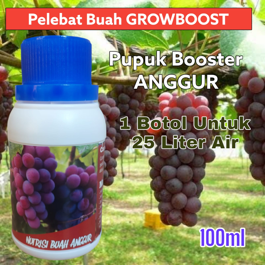 Pupuk Buah Anggur Premium Organik GrowBoost Buah Anggur 100ml