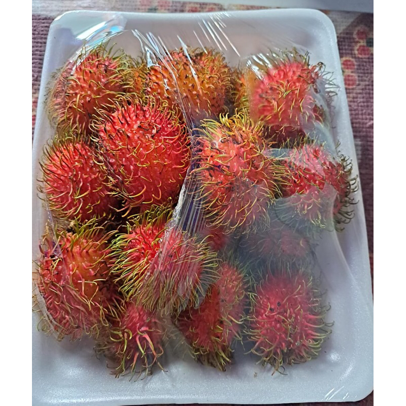 

Buah Rambutan Binjai Fresh -+ 1 kg