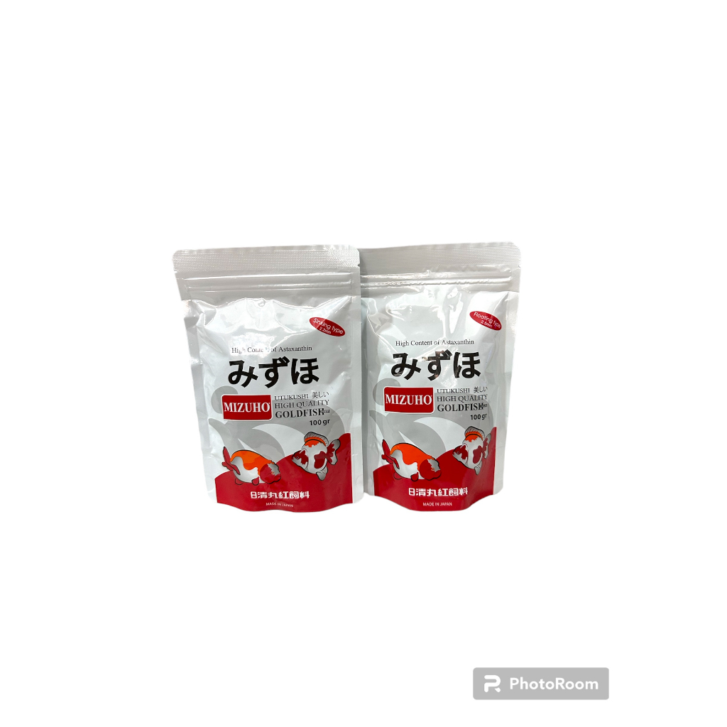 Ikan Hias Koki Oranda Black Red