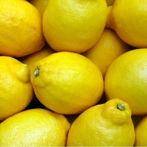

Jeruk Lemon Import/1kg
