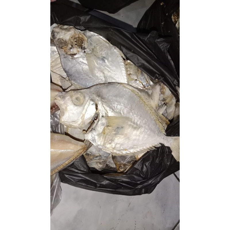 

Ikan asin Petek 500g