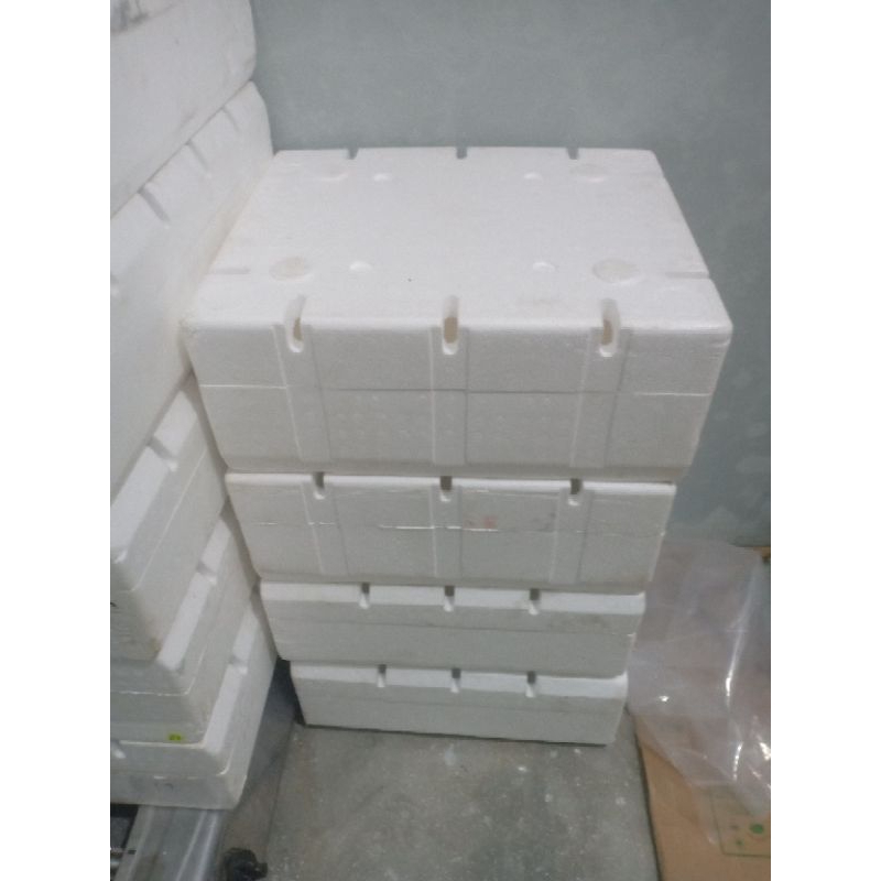 Styrofoam Hidroponik