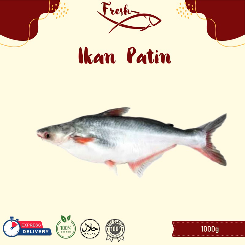 

IKAN PATIN FRESH 1kg