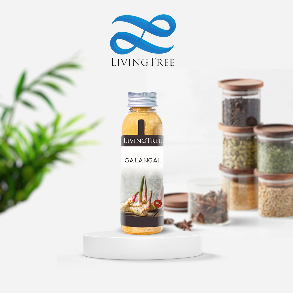 

Lengkuas 30gr Bubuk Galangal Powder 100% Rempah Alami LivingTree