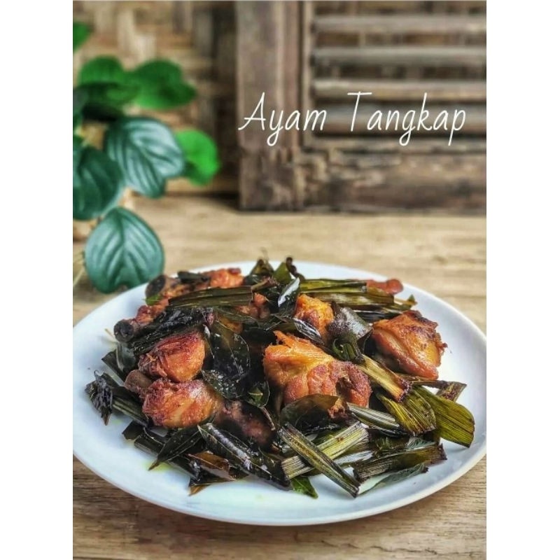 

Ayam Tangkap