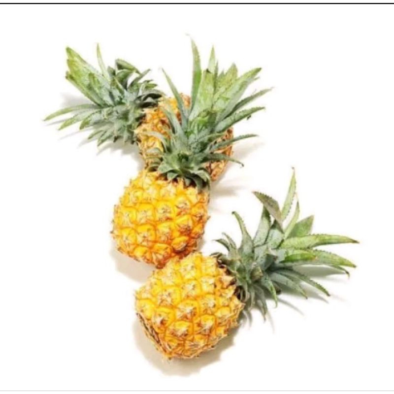 

Nanas madu fresh 1 pcs