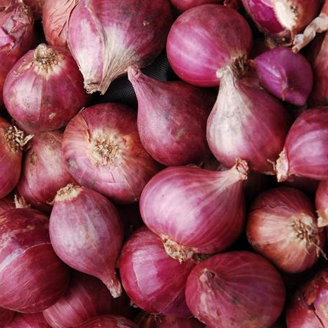 

Bawang Merah TIDAK KUPAS
