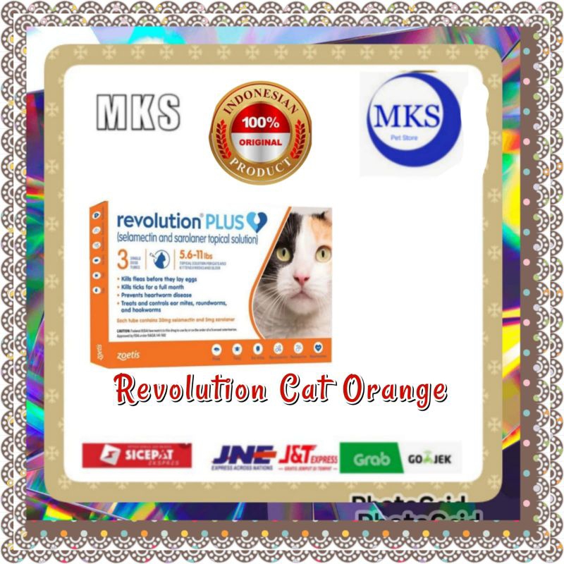 Revolution Cat Plus Orange/ obat kucing
