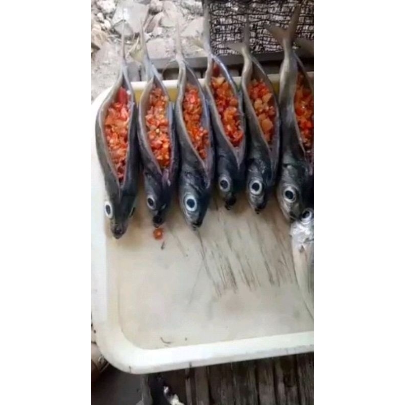 IKAN  asap sambal (kembung ,benggol/layang,cakalang)