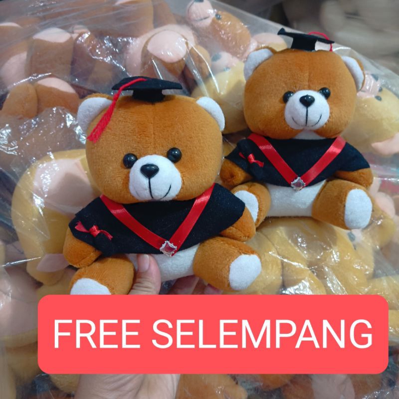 BONEKA BERUANG VELBOA / BONEKA BUKET / BONEKA WISUDA