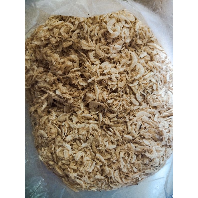 

Udang Rebon