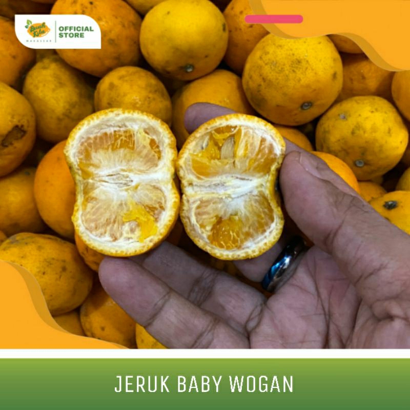 JERUK BABY WOGAN IMPORT