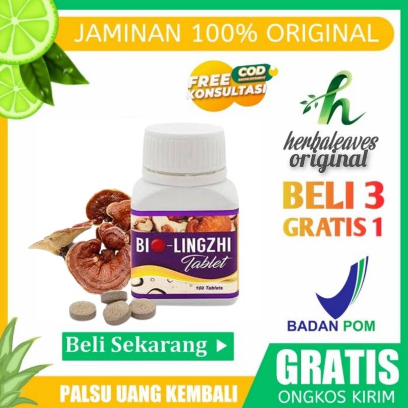 bio lingzhi asli original untuk kesehatan ginjal