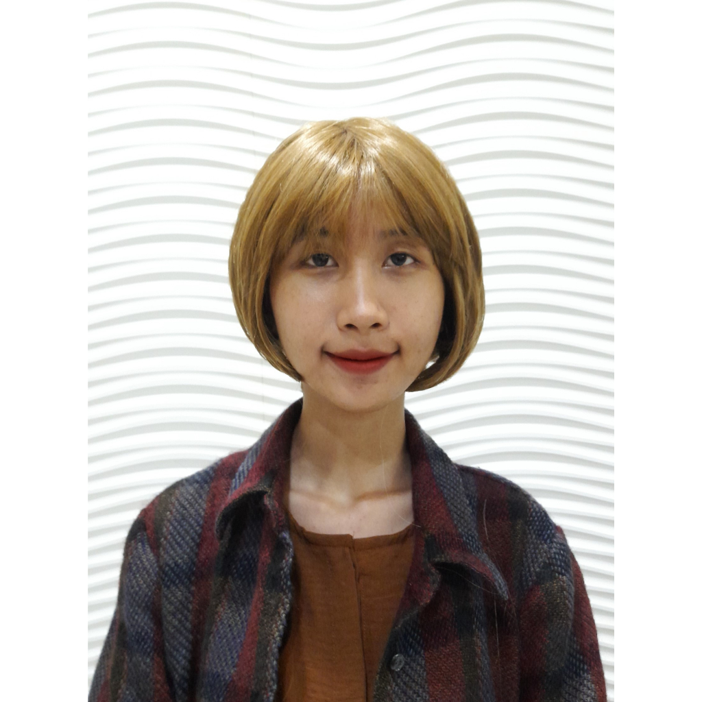 WIG KOREA/SINA HAIR WIG/RAMBUT PALSU