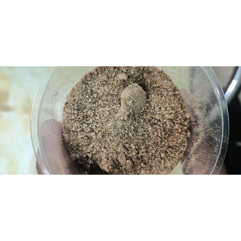 

Trasi Serbuk (Serbuk Blacan)