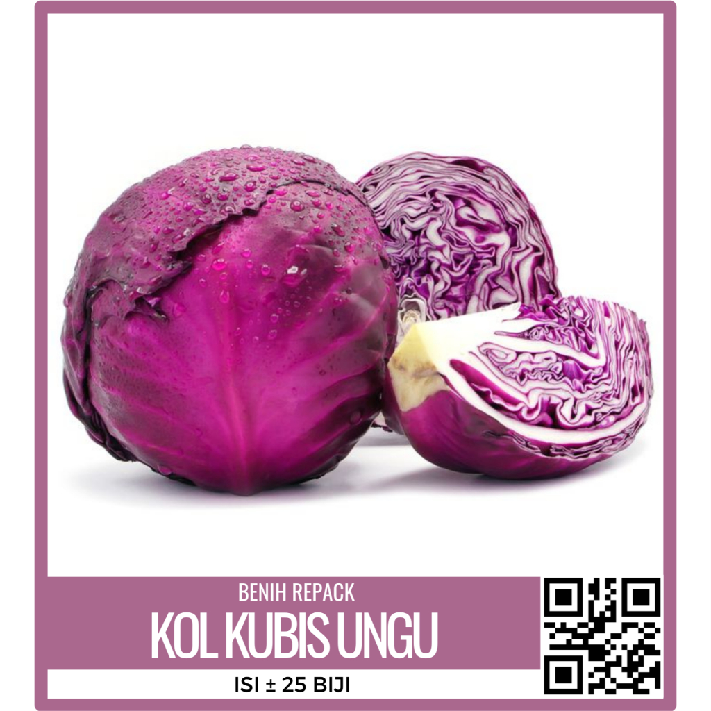 BENIH BIBIT KOL KUBIS UNGU ISI 25 BIJI KEMASAN REPACK ECERAN ZIPLOCK