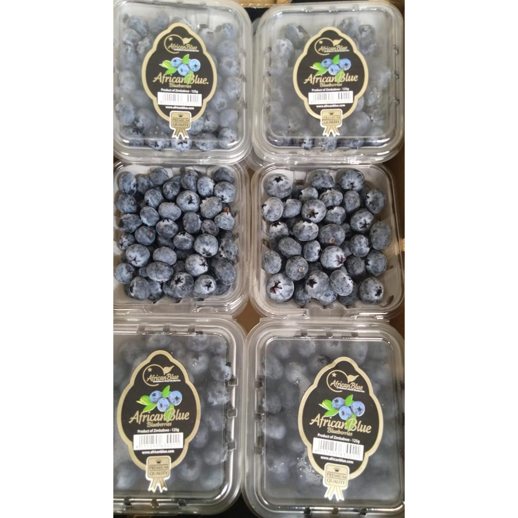 

BLUEBERRY AFRICA JUMBO FRESH IMPORT BLUEBERRIES PER DUS