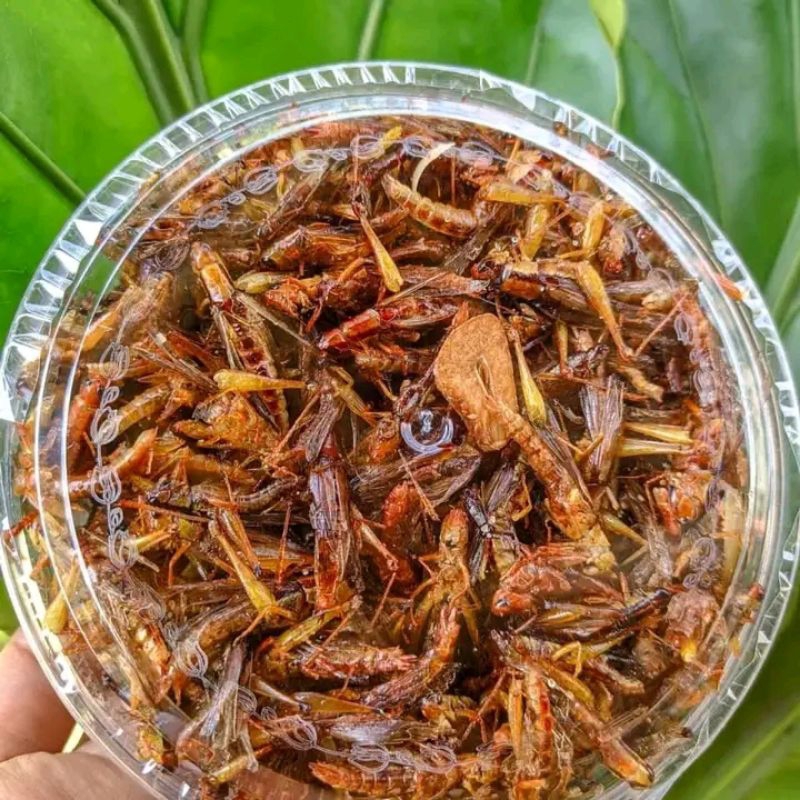 

WALANG/BELALANG GORENG CEMILAN EXTREM MAKANAN SULTAN KEMASAN EKONOMIS MURAH POLLL