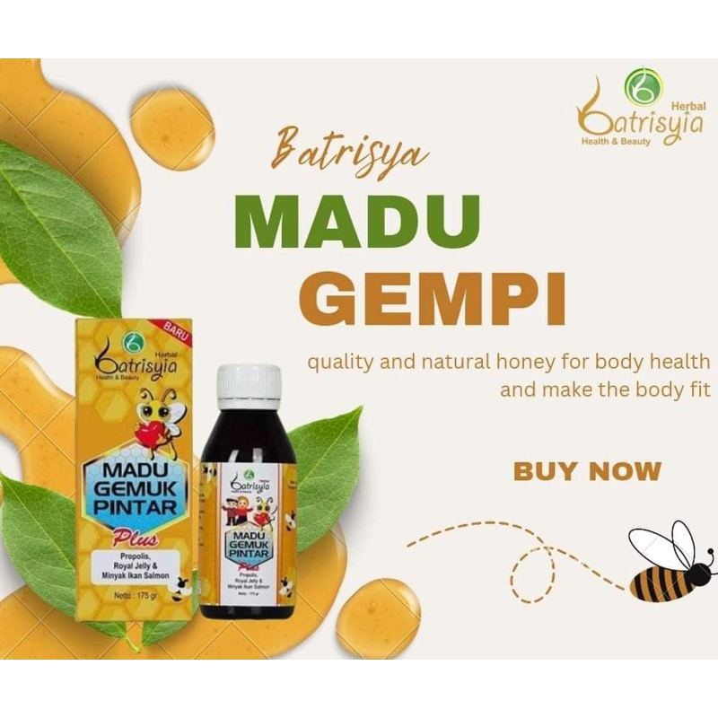 

madu gempi (Gemuk pintar)