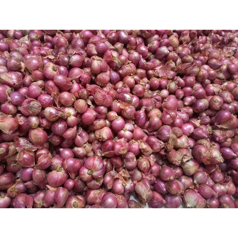 

Bawang Merah Kediri