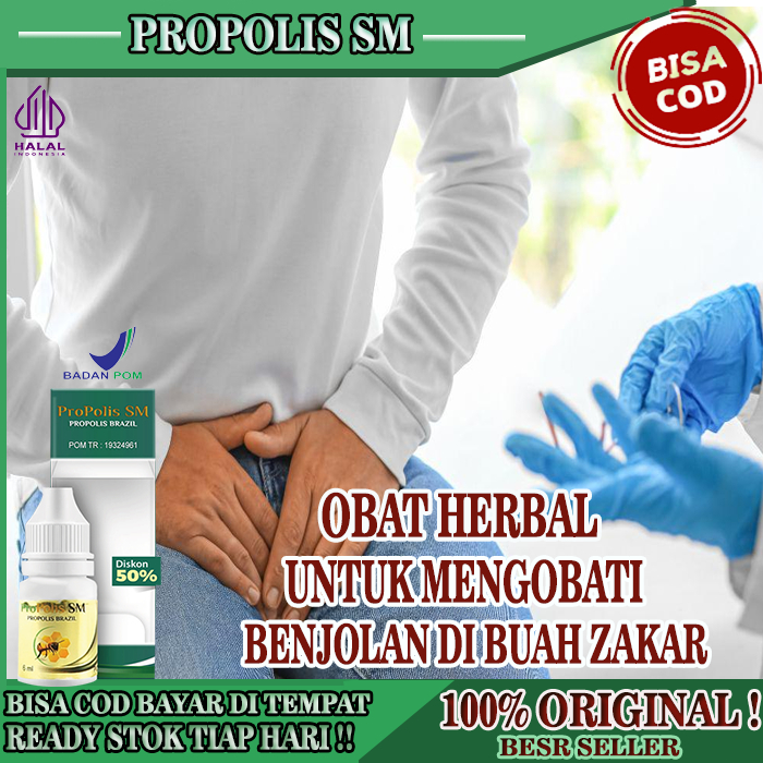 Obat Benjolan Di Buah Zakar, Obat Penghilang Benjolan Di Buah Zakar, Obat Benjolan Saluran Buah Zaka