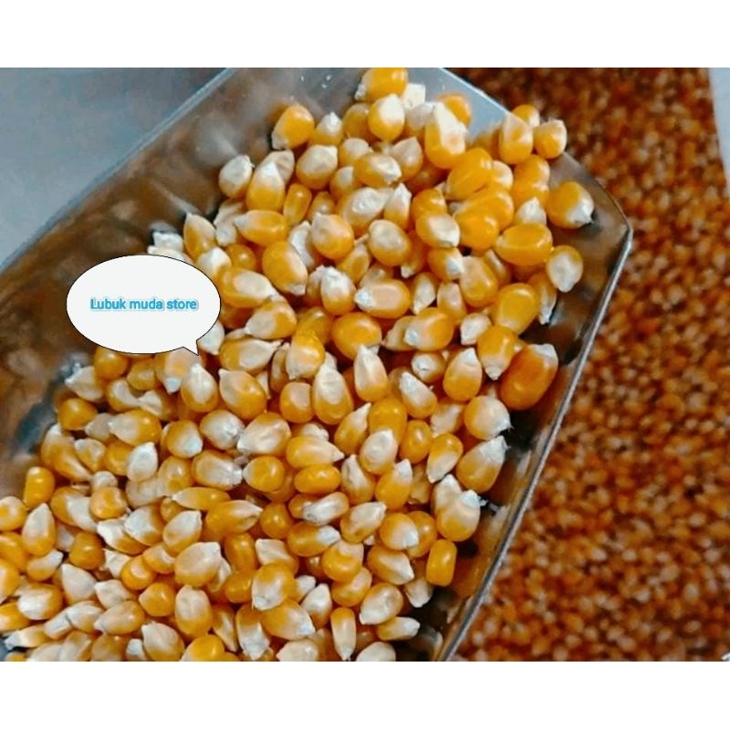 

Jagung popcorn super/biji popcorn Repack