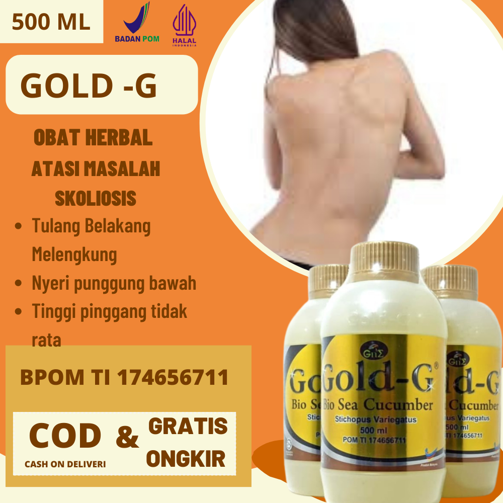 Jelly Gamat Herbal Alami Mampu Mengobati Gangguan Pada Tulang Belakang Tulang Sumsum Tulang Belakang