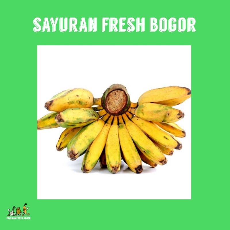 

Pisang Kepok Kuning ( Satu Sisir ) | Sayuran Fresh Bogor