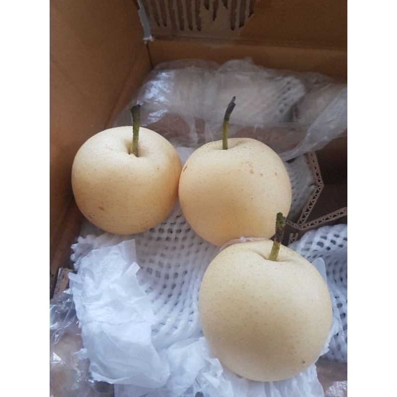 

Per Century 1kg Malang Kota