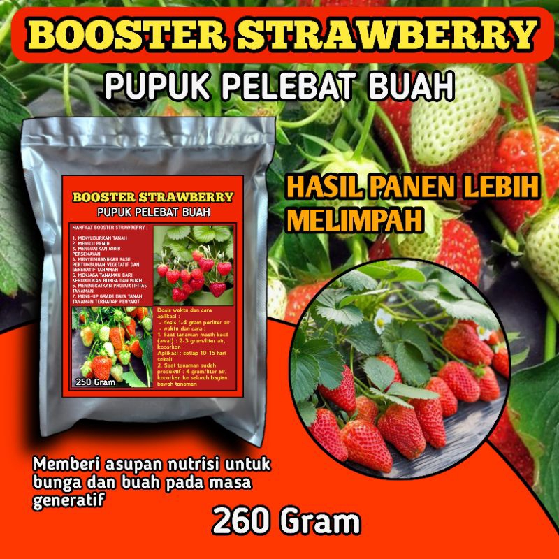 Pupuk booster pelebat buah strawberry nutrisi untuk bunga dan buah anti rontok kemasan 250 gram