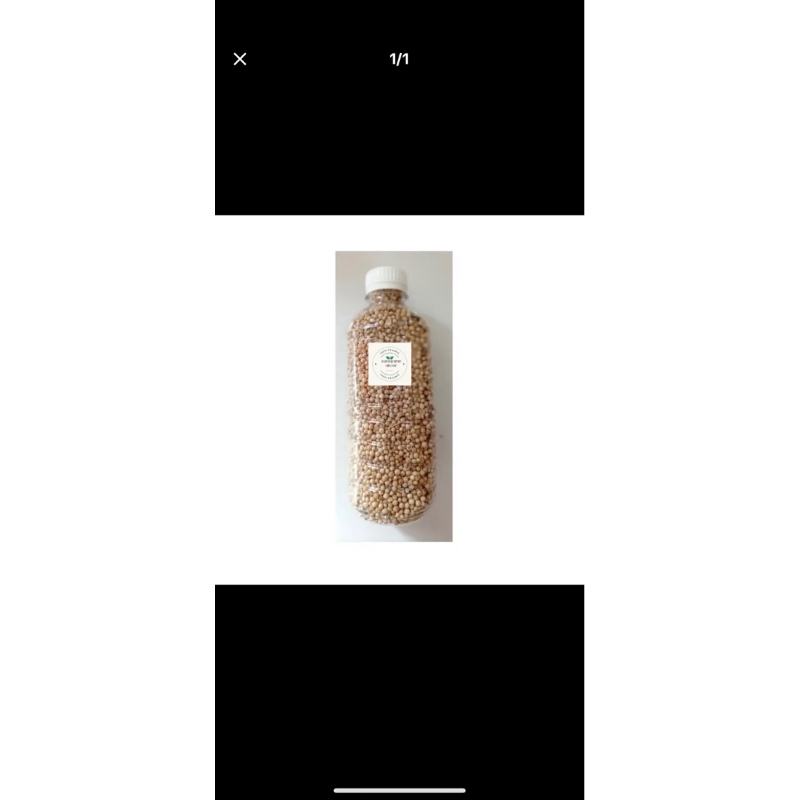 

Ketumbar Putih Organik