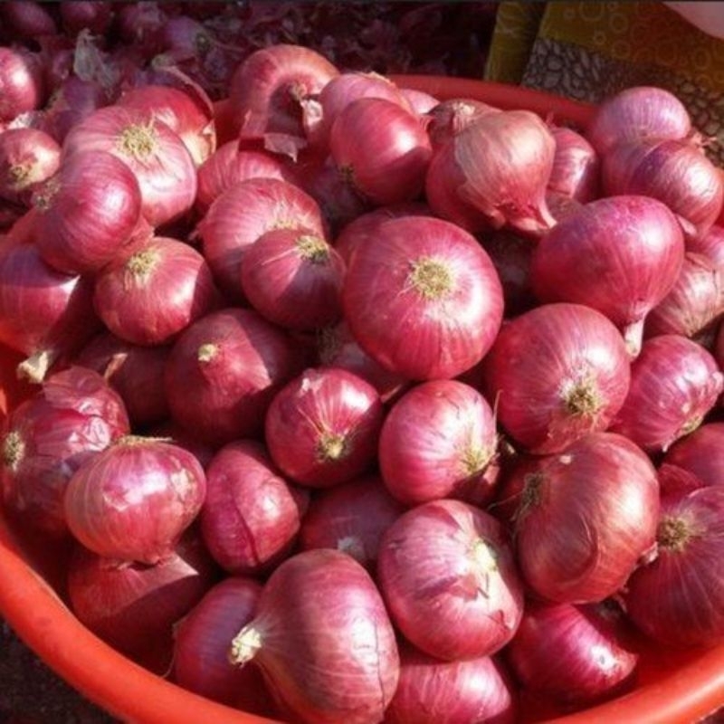 

Bawang Merah Brebes kualitas super 250gram