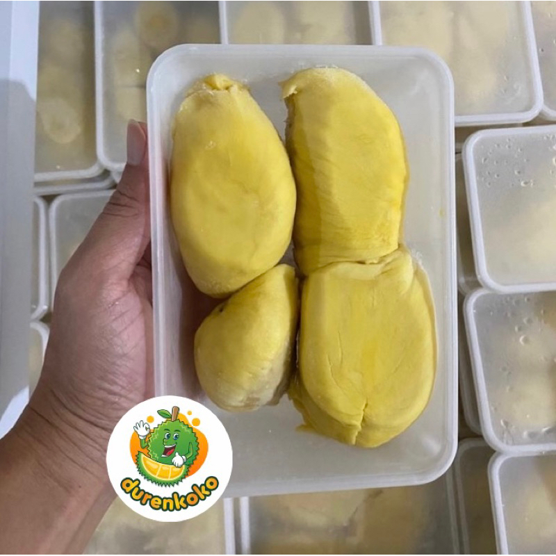 

Durian Montong Palu / Durian Kupas / Durian Sulawesi/ Duren Montong Premium / Duren Palu Parigi Asli