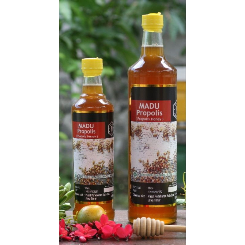 

madu propolis