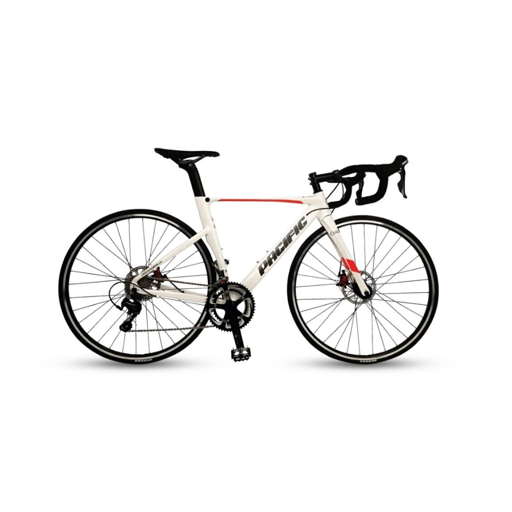 Roadbike Pacific Paradox R5 (2X10 MH)