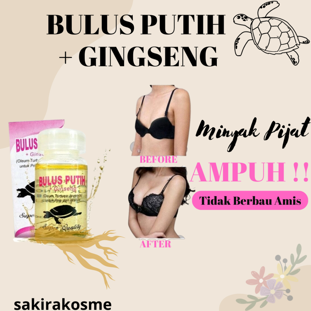 MINYAK BULUS PUTIH + GINGSENG - MINYAK BULUS PUTIH -MINYAK PIJAT AMPUH