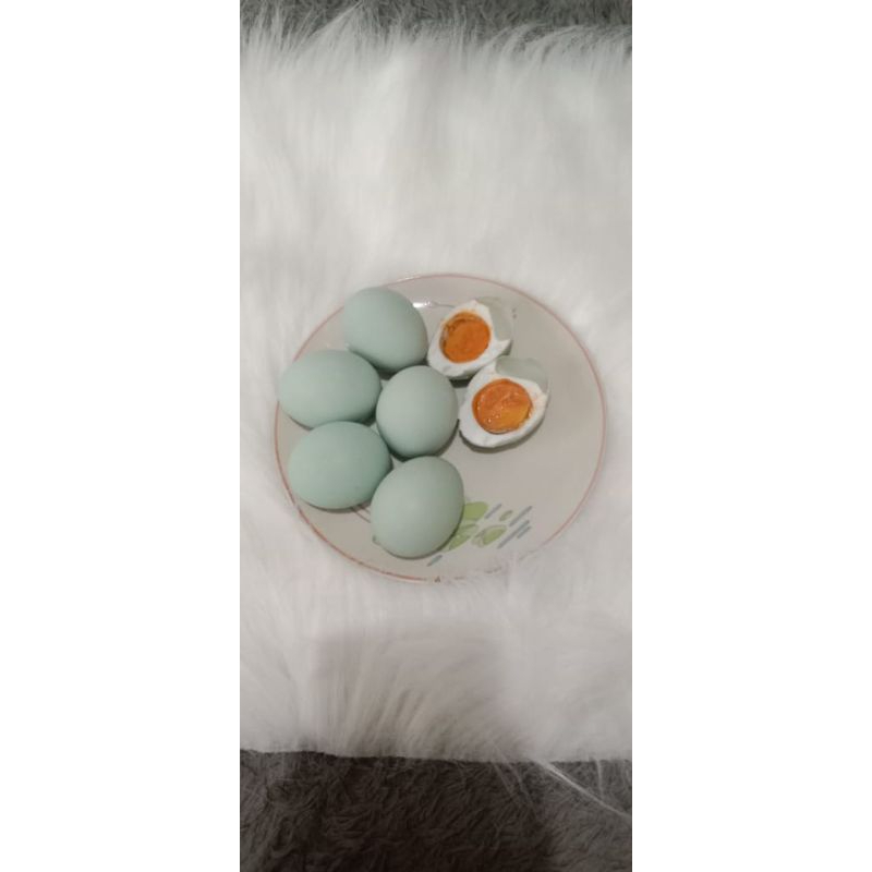 

TELUR ASIN MASIR/ TELUR ASIN/TELUR