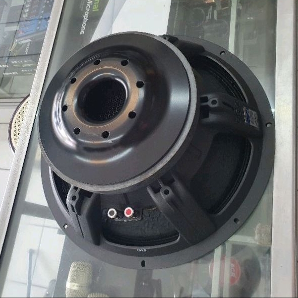 speaker acr premier 15900 15 inch