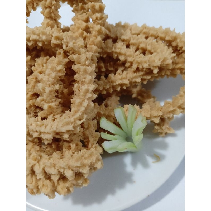 

Kue Kaktus