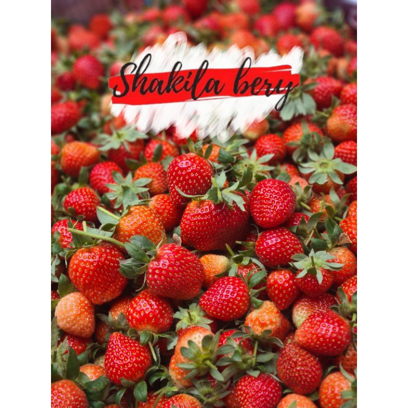

strawberry fresh