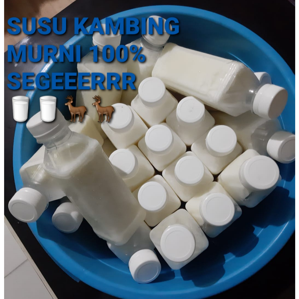 

Susu kambing murni 100 % susu kambing segar frozen
