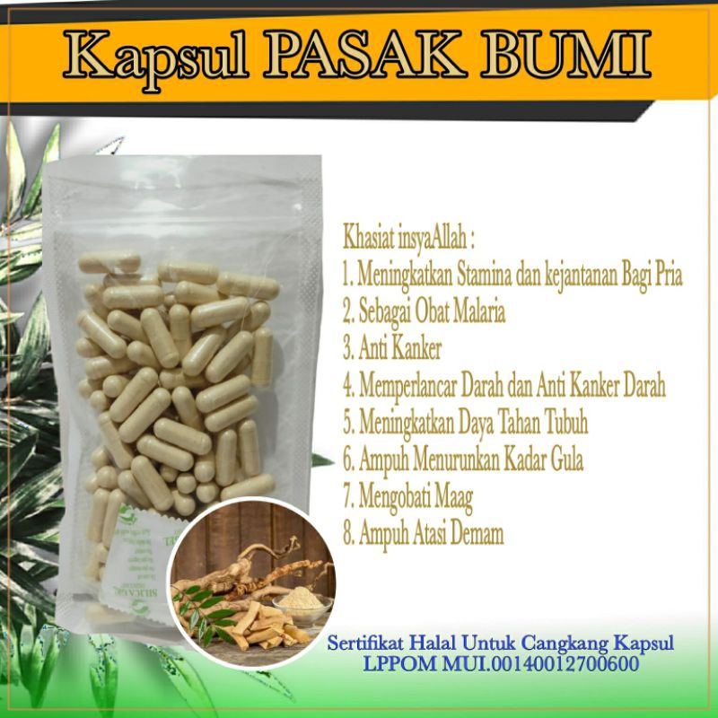 

Kapsul Pasak Bumi Herbal isi 100 Kapsul