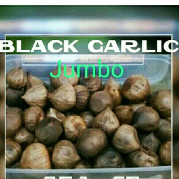 

Cahayadstore 500Gr Black Garlic Hanami Bawang Hitam Tunggal Lanang
