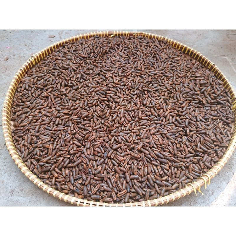 

biji kurma roasting / sangrai 1 Kg