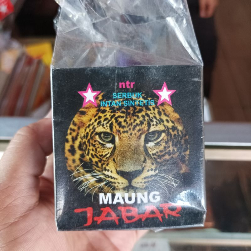 GELASAN MAUNG JABAR GELASAN ADUAN LAYANGAN