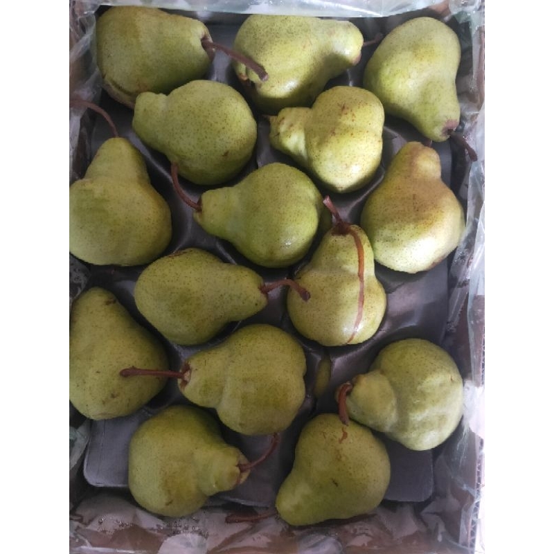 

pir packam afrika /jambu afrika jumbo