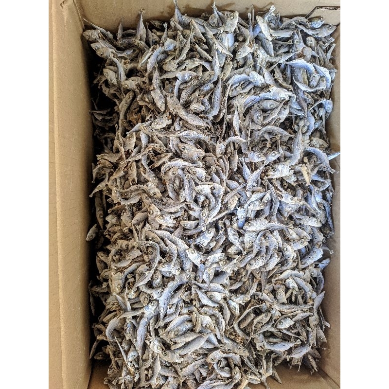 

ikan teri kering rebus